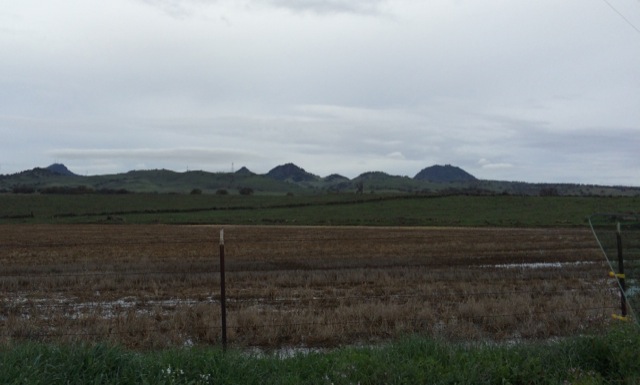 Approaching the Sutter Buttes.