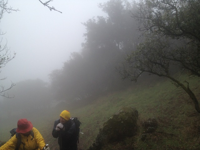 In the cloud, getting close to the summit. Our guide Ken (in the yellow hat).