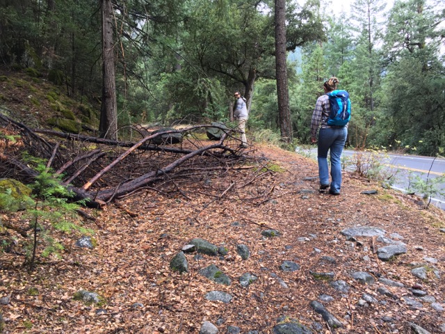 The Old Wawona Road splitting away from the highway.