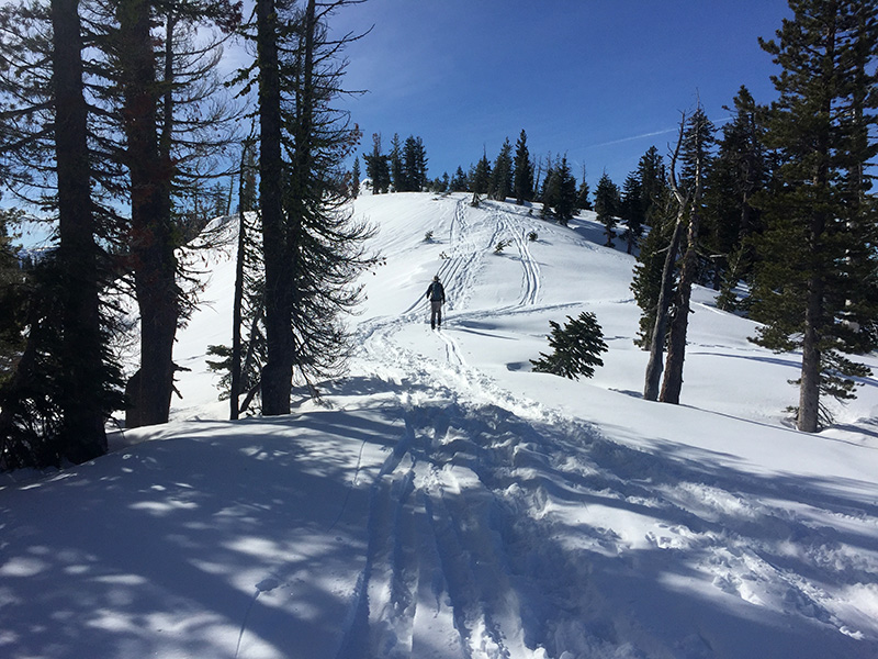 Heading up the ridge away from Castle Peak.